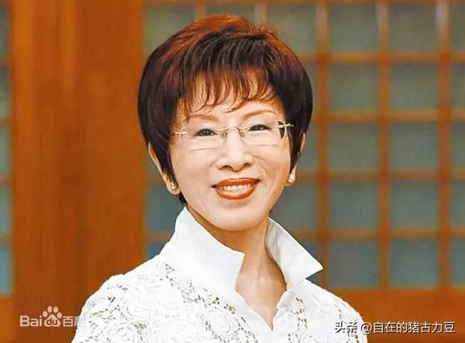 国民党历届主席,国民党主要领导人