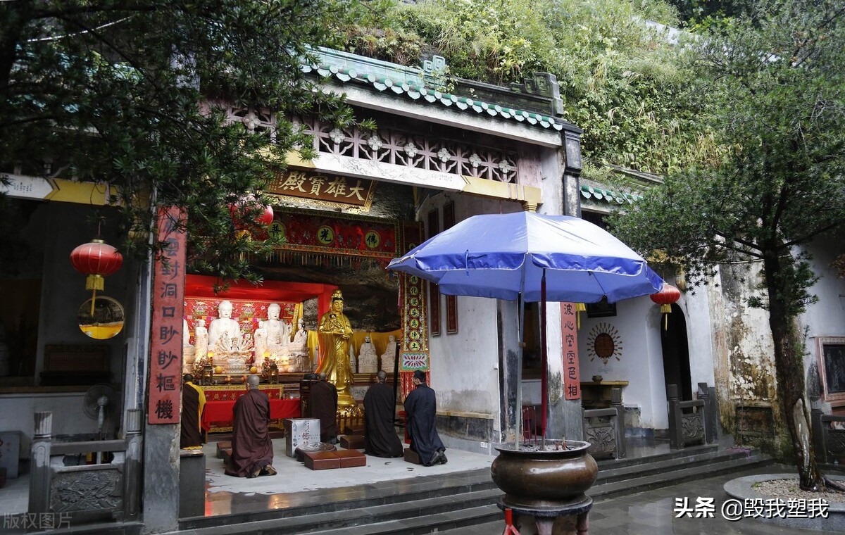 湛江哪里的鱼多,湛江章鱼属什么品种