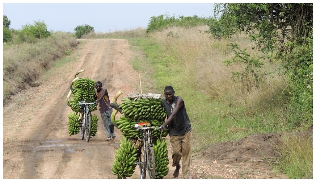 非洲国家布隆迪：禁止跑步，有自行车就是土豪，一把锄头就是彩礼