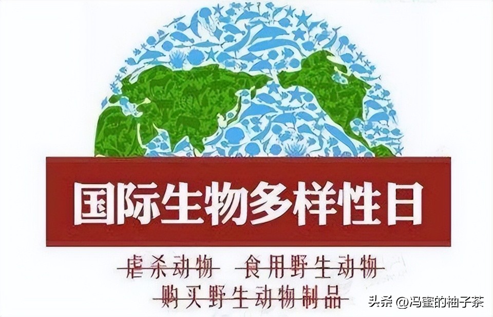 生物多样性的保险价值，在经济学框架中有何意义？