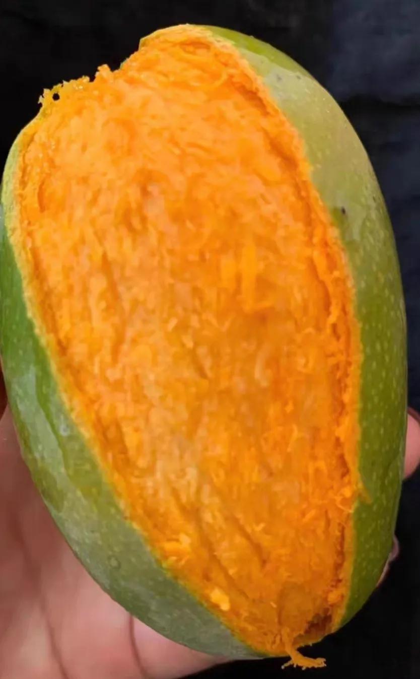 广东湛江一年四季水果名单,湛江特色水果介绍