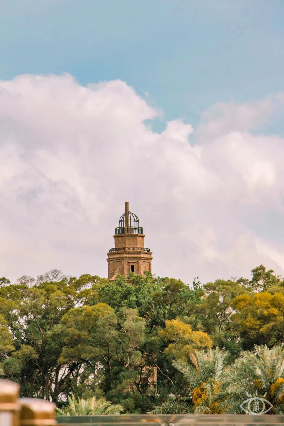 不用出国在深圳看到的美景,深圳有什么景点去看的不要钱的