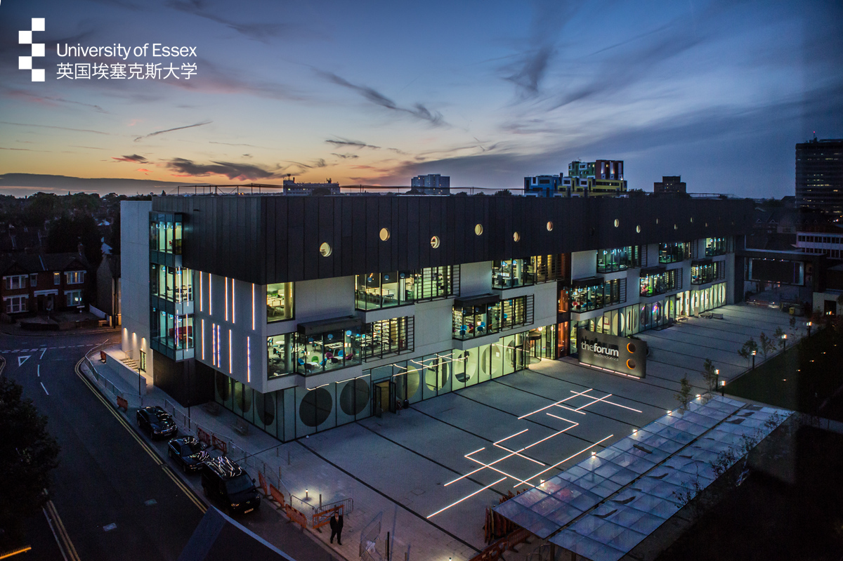 埃塞克斯大学英国,埃塞克斯大学研究型