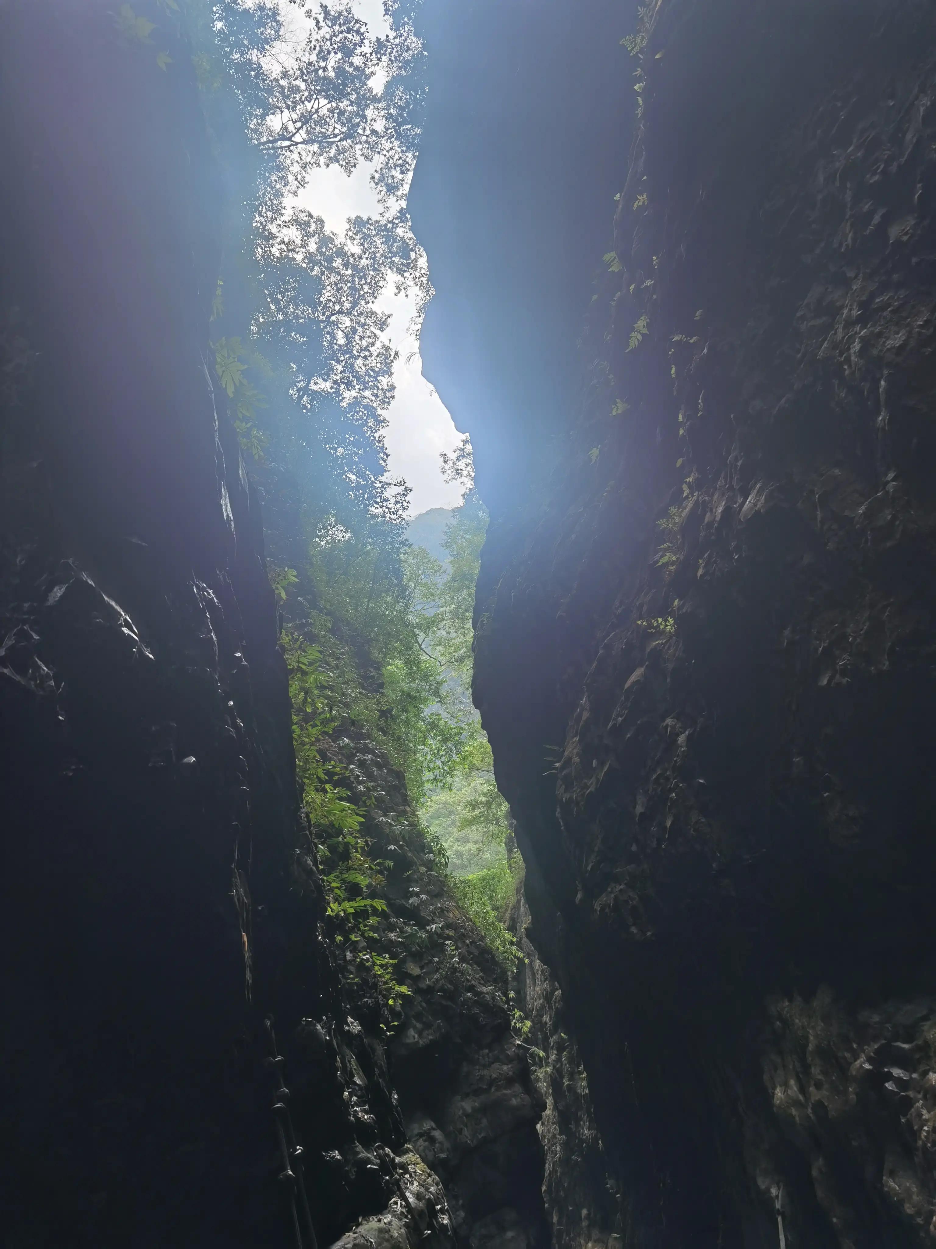 重庆到黑山谷的交通路线,重庆黑山谷旅游攻略美景图片