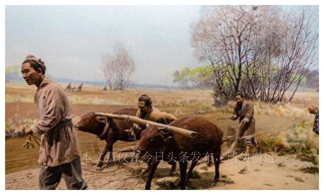 男怕嘴小女怕大鼻是怎么回事,为什么男怕嘴小女怕鼻头大