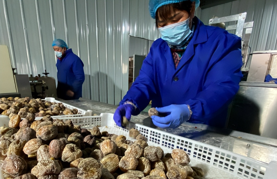 公务员的工资是否靠卖土地支付,土地难卖后公务员怎么办