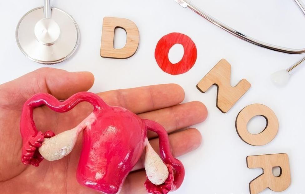 没有阴道的女人，和正常女性有何差异?“石女”到底是怎么回事?