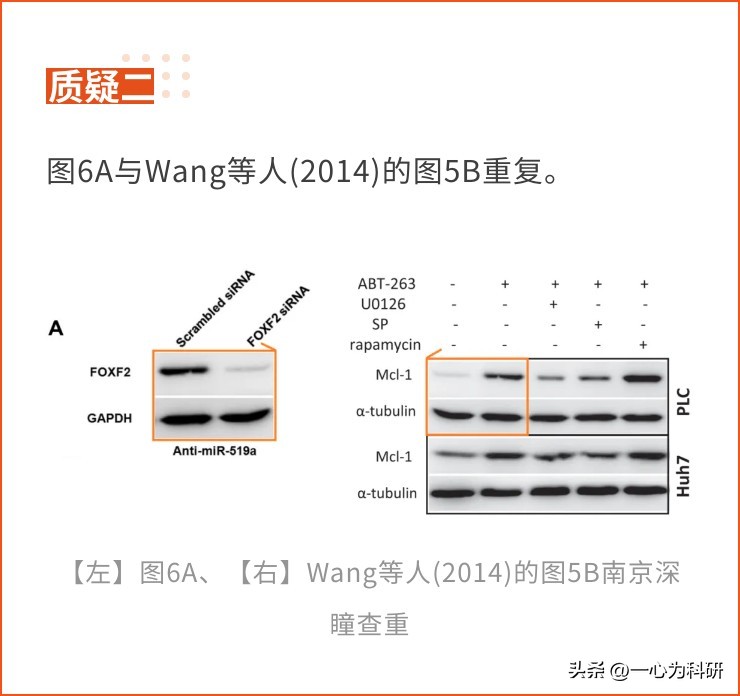 期刊正在调查广州军区武汉总医院的论文，因图片与他人文章重复