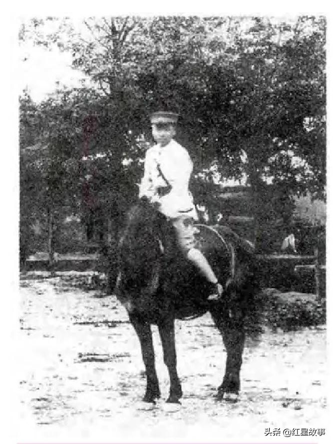 袁殊红色特工身份确定,袁殊红色特工