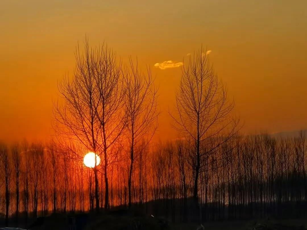 美国人不吃菜的吗,美国人不吃不喝吗