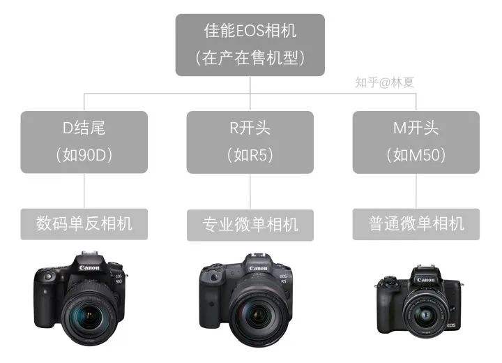 佳能初级相机最新型号是哪款,佳能数码单反相机的型号及价格