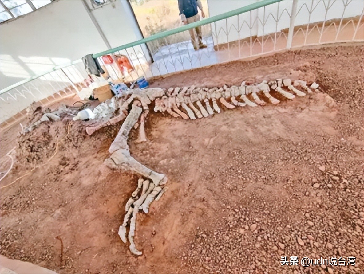 中国云南禄丰恐龙谷遗址,云南禄丰世界恐龙谷的化石