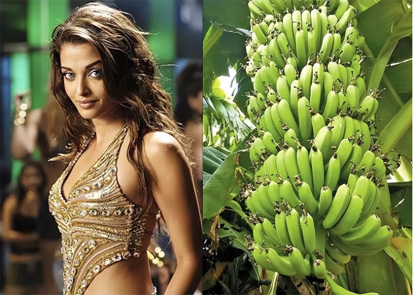 印度国宝级第一美人,印度第一美人身材