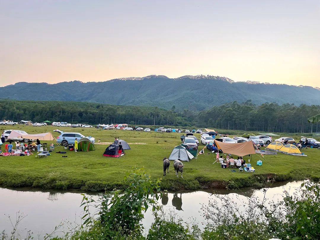 武鸣府城周围适合露营的地方,lounge露营基地武鸣