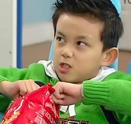 说出15个川渝地区的男明星,巴蜀美男子