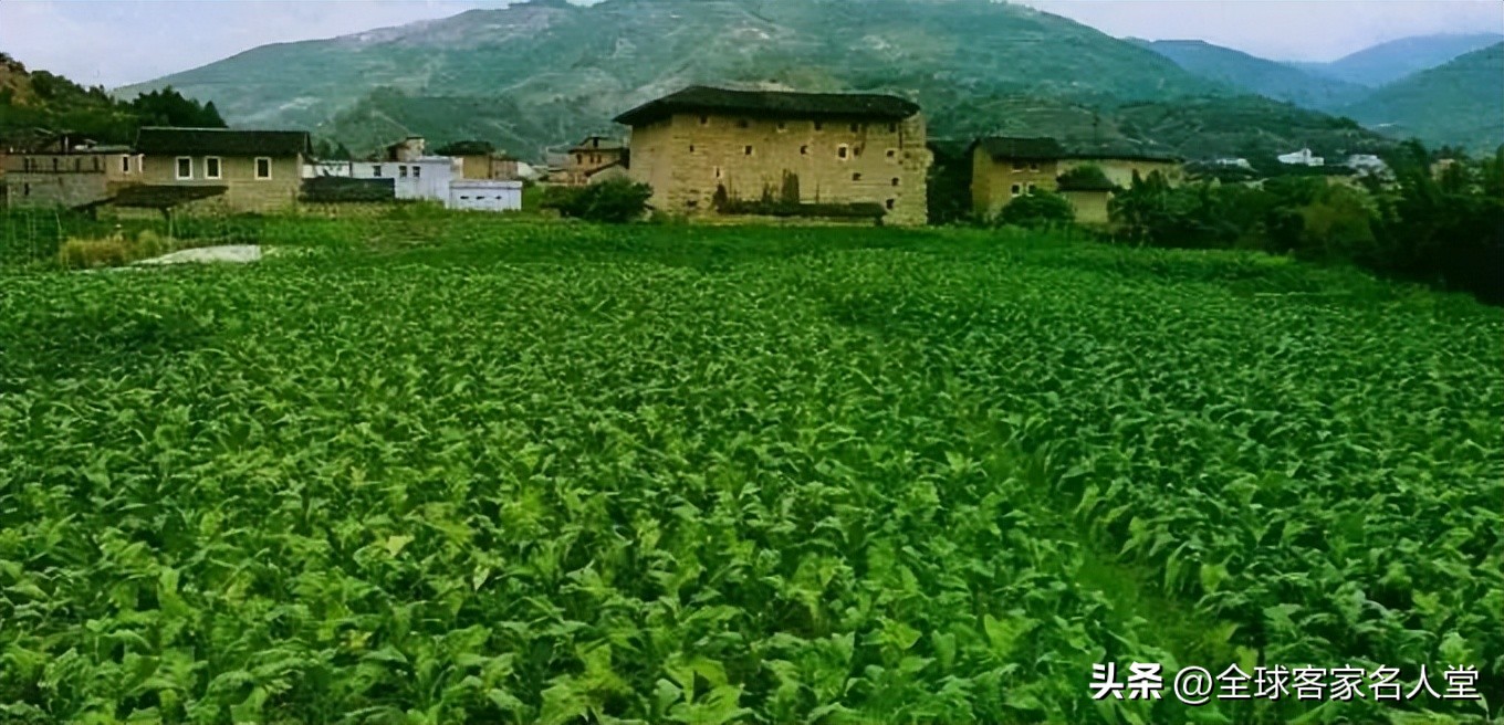客家土楼的价值,客家土楼经受无数次大地震撼