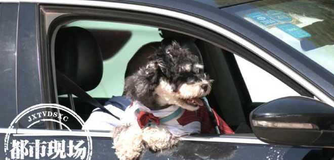 江西南昌：一男生用嘴吸女友伤口，诊断为“三级暴露”