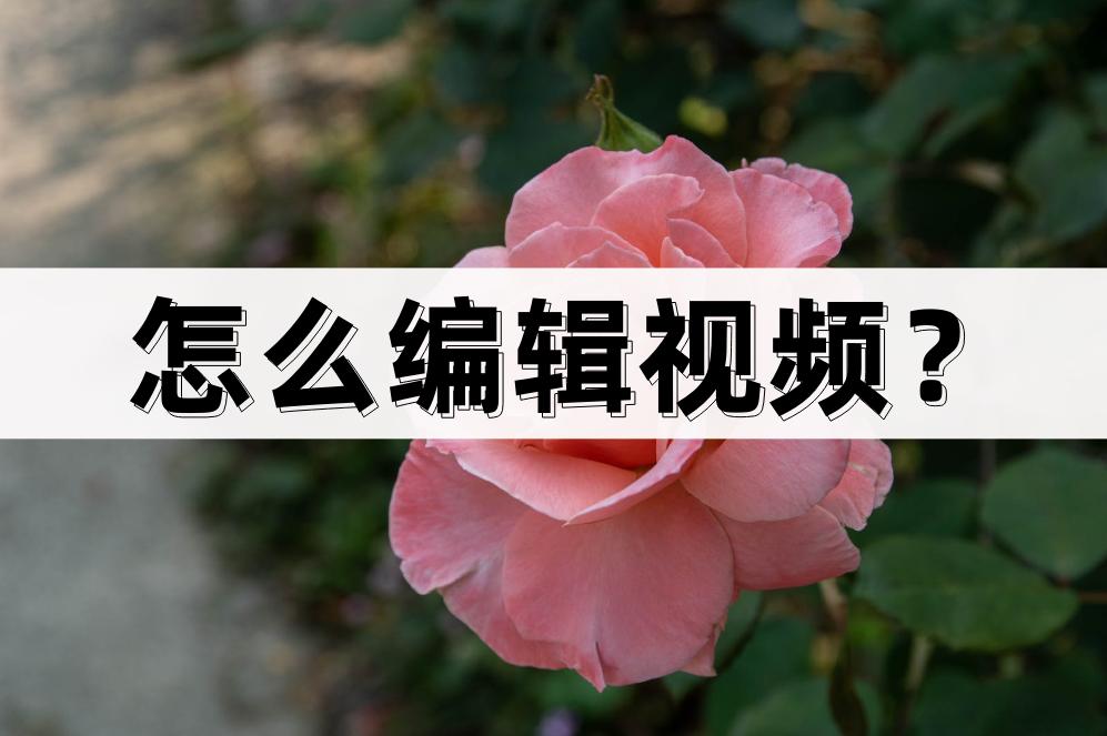 编辑视频的方法和步骤,如何进行视频制作编辑