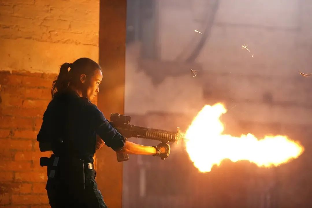 十部顶级美艳杀手电影,a爆超燃片段