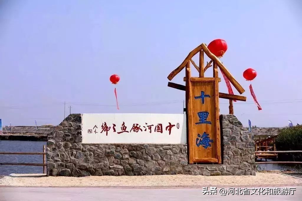 河豚火锅吃的是极致新鲜,中国河豚火锅