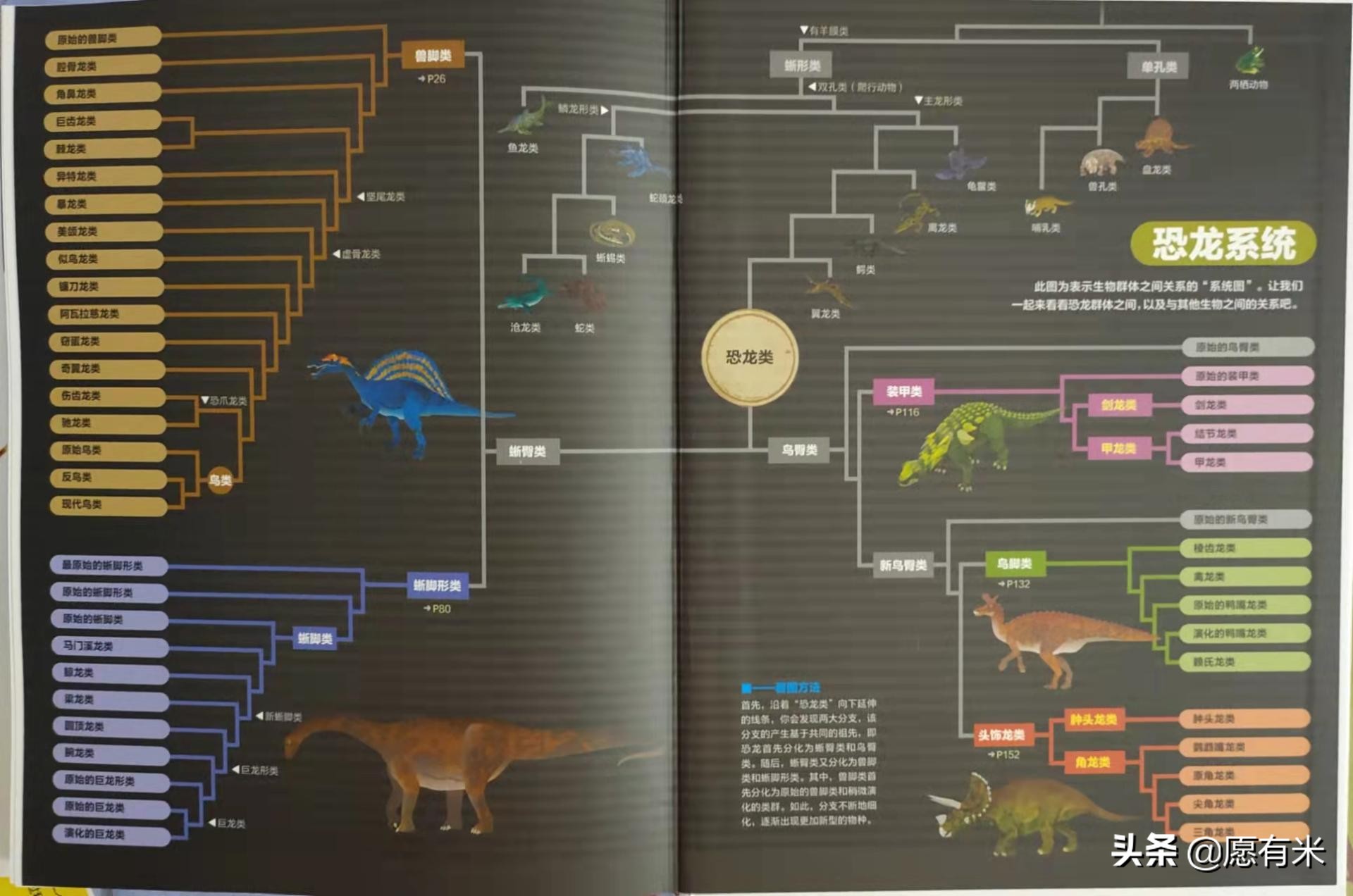 恐龙大百科之各种各样恐龙,恐龙世界最强大的恐龙的图片