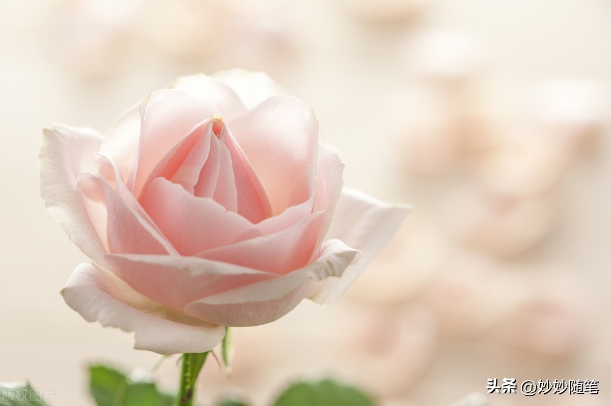 安全感责任感到底是什么,缺乏安全感到底是什么