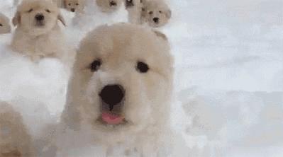 内衣周刊｜都市新感觉：对不起，保暖内衣！是我错怪了你