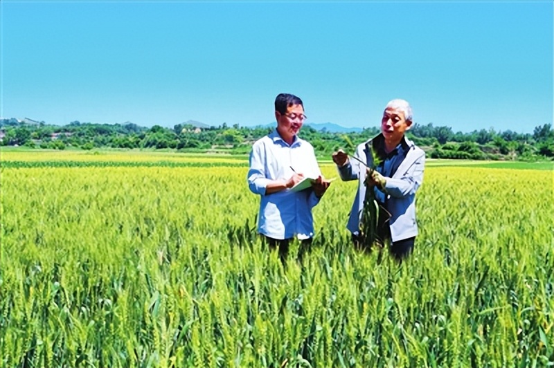 全力保障夏粮及时收割颗粒归仓,全力备战三夏确保夏粮颗粒归仓
