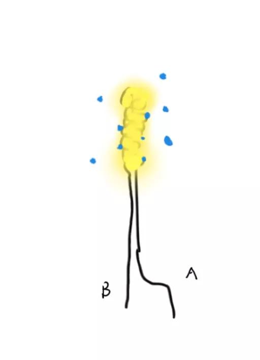 微波炉工作原理是共振吗,微波炉工作原理及使用方法