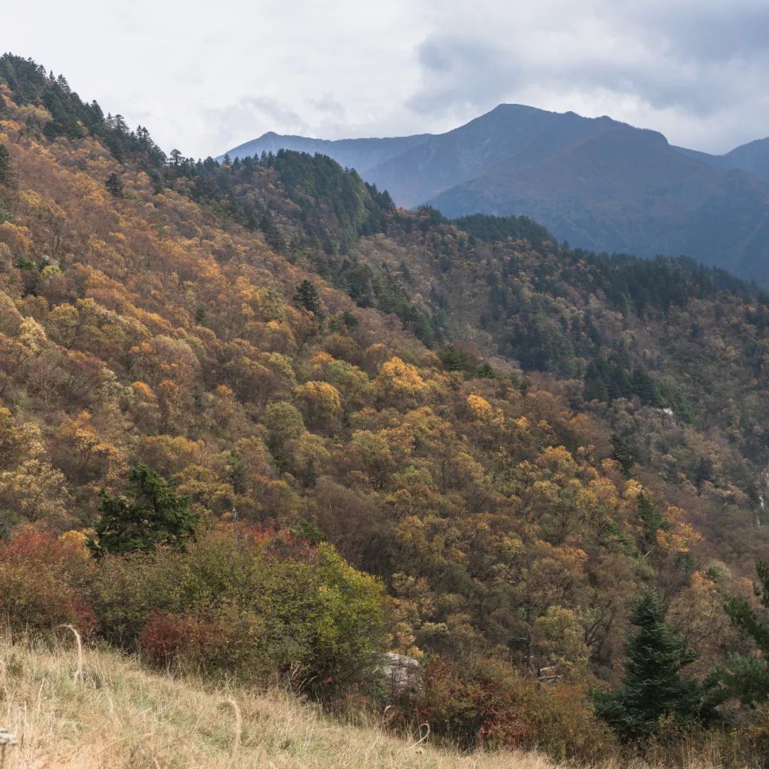 登太白山感受,太白山景区登顶拔仙台