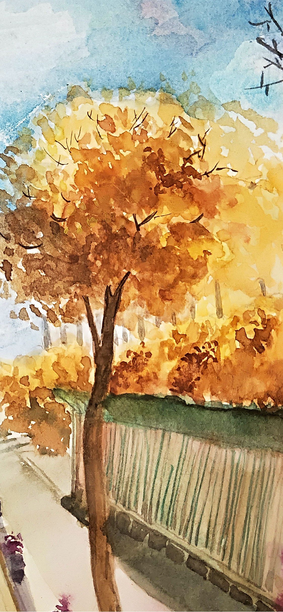 手机型号壁纸图片,169手机壁纸尺寸