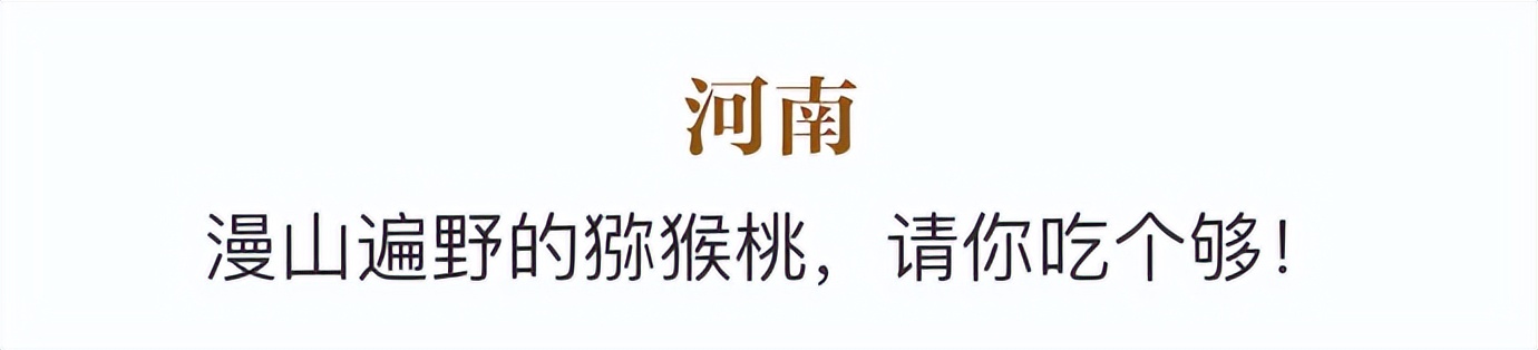 国产猕猴桃和进口奇异果,国产奇异果猕猴桃