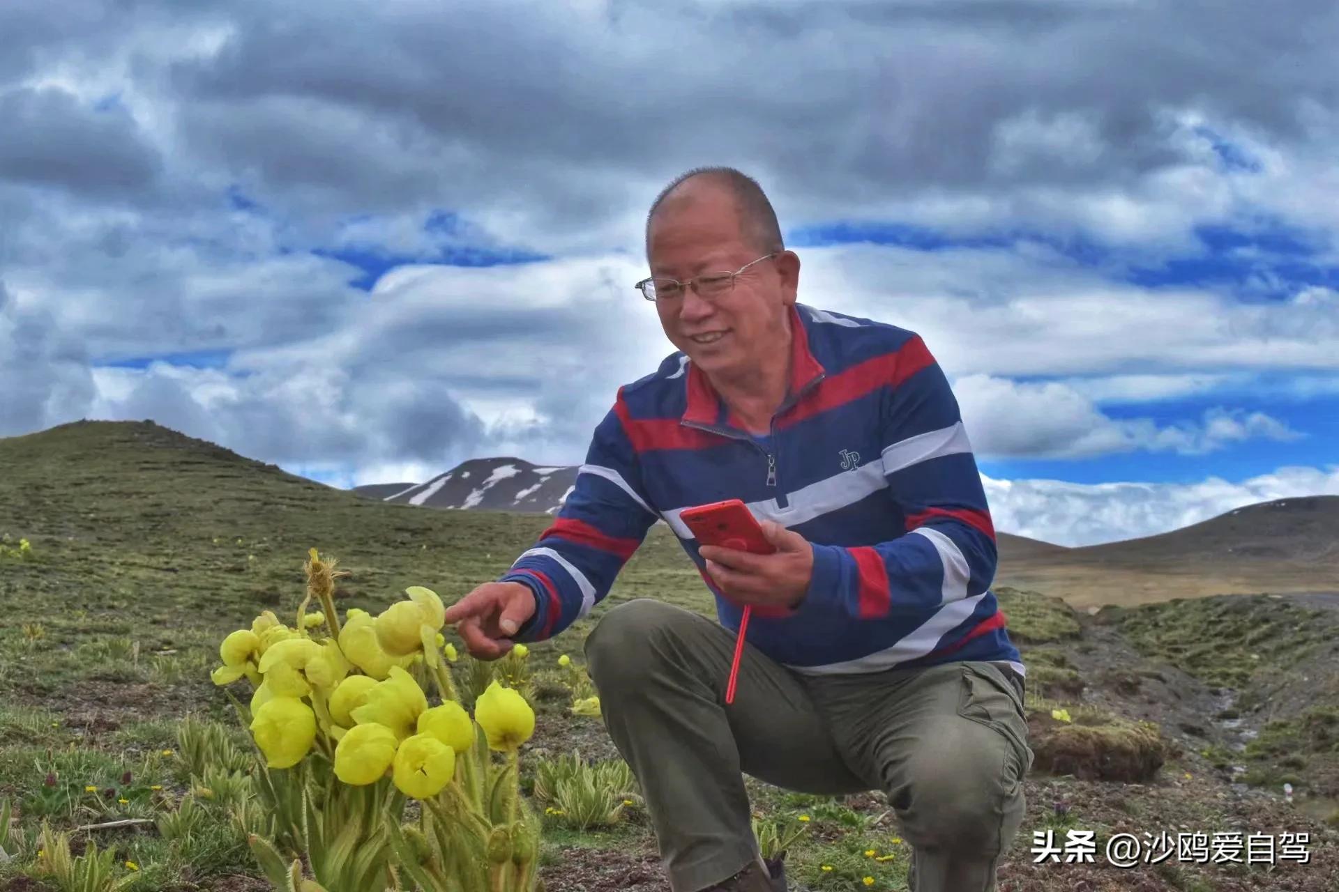 西藏自驾游三大圣湖,自驾西藏行摄之旅米堆冰川