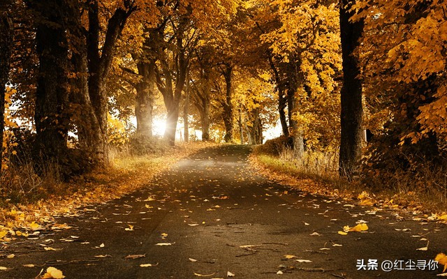 路遥知马力日久见人心以诚待人,路遥知马力日久见人心的道理