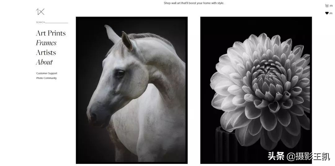 成都摄影拍摄培训哪里专业,成都视觉摄影培训有哪些