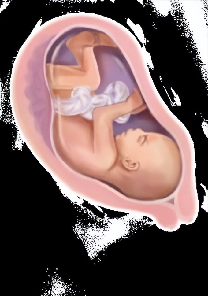 从受孕到分娩约四十周,从受孕到婴儿每天的变化