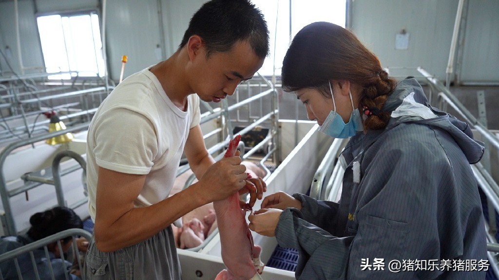 只靠一张嘴很难获得信任,仅凭一张嘴卖了房子