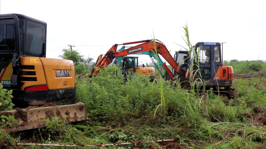 乡镇林地砍伐复耕复种,撂荒耕地必须全部复耕复种