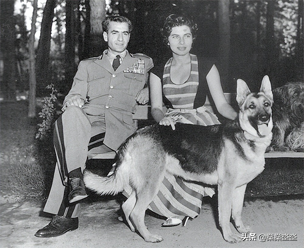 什么叫做真爱？因为无子被休弃的“真爱”，伊朗末代王后索拉娅