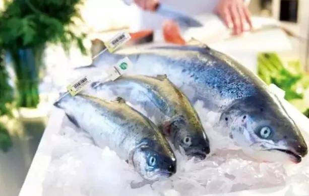 麦德龙过年十大必买清单,麦德龙最值得购买的是什么