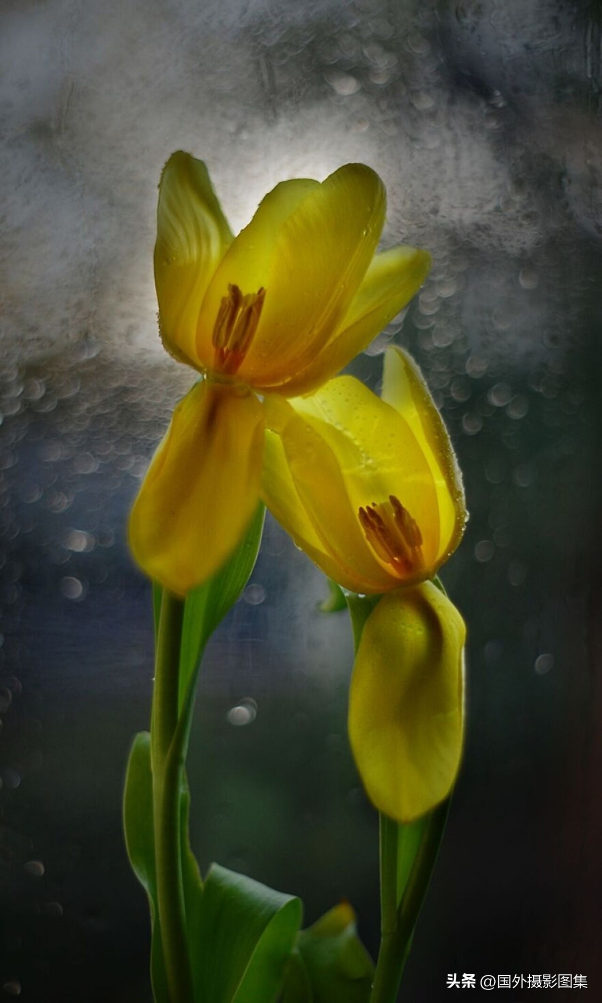 最美的景色秋天照片高清,夏天和秋天的绝美照片