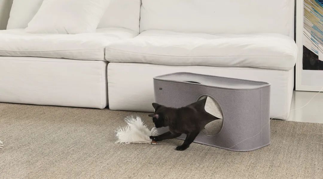 2022年iF设计奖：宠物用品类