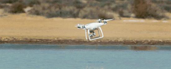 党建引领全镇各项重点工作,乡村党建引领五大振兴