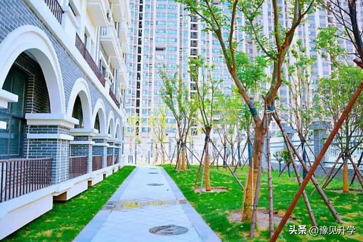 石家庄高新区初中划片范围,高新区初中划片地图