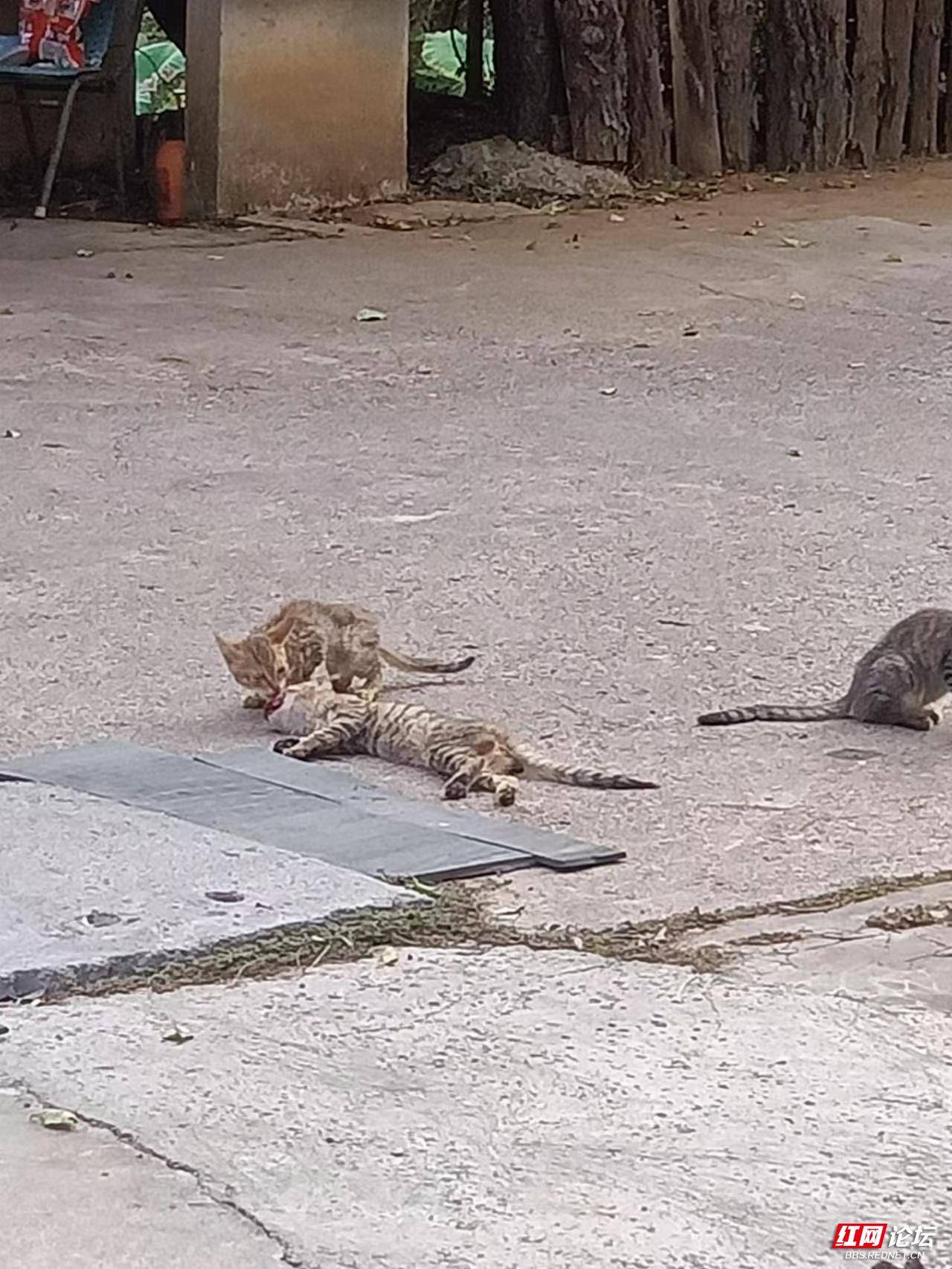 心中有佛才能生佛,心中有佛必是大善人