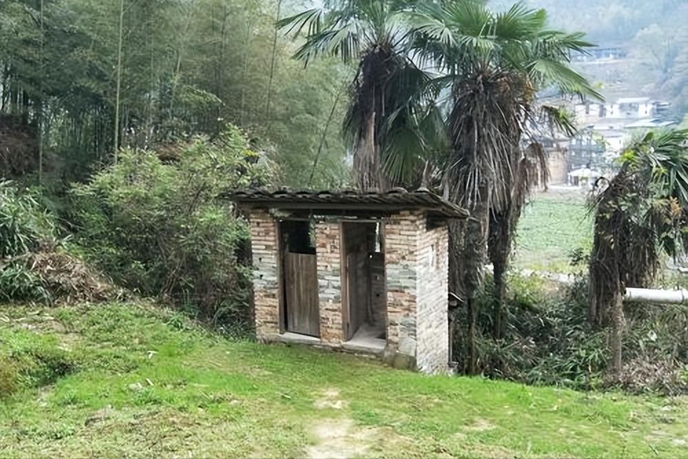 国家规划几年完成新农村建设,2020年国家针对农村项目有哪些