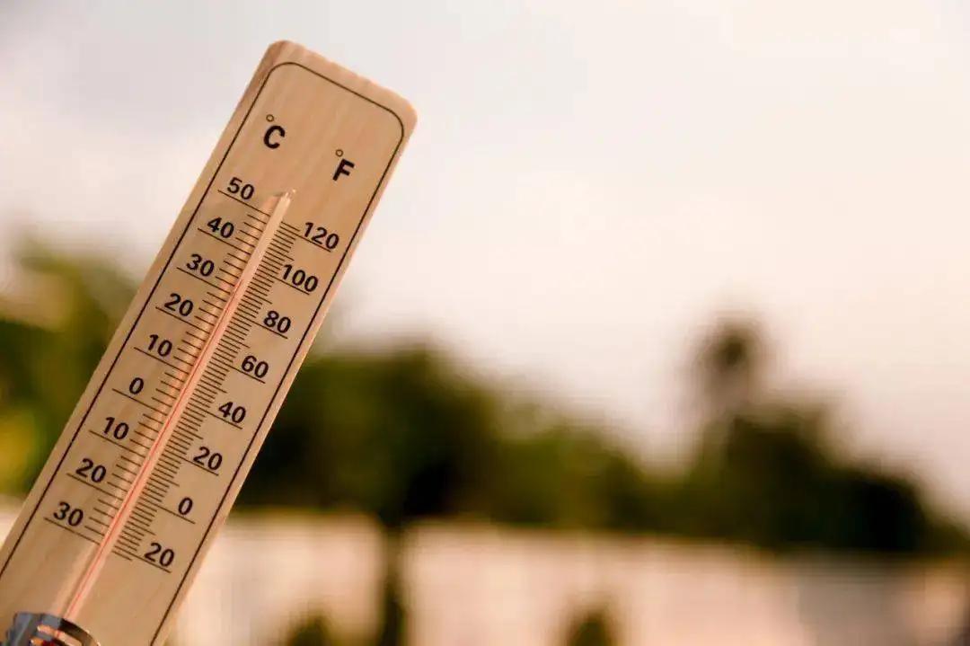 中国为何要进口印度粮食,中国为什么大量购买美国农产品