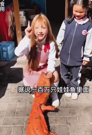 网红女主播吃大白鲨调查后续,网红被爆料吃大白鲨