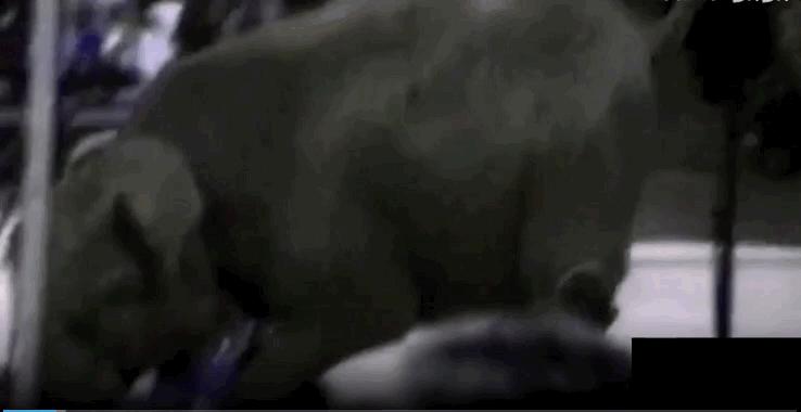 全网最近大事件,最大丑闻案件