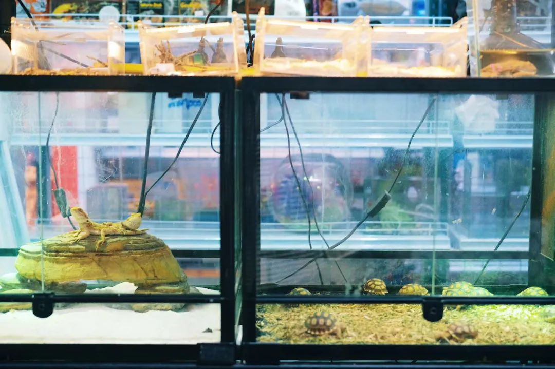 在泰国待了14天,在泰国待了60天